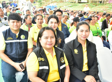 ร่วมงาน ... พารามิเตอร์รูปภาพ 1