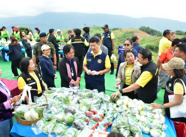 ร่วมงาน ... พารามิเตอร์รูปภาพ 4