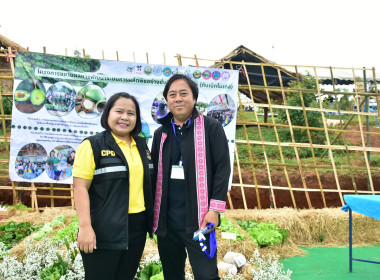 ร่วมงาน ... พารามิเตอร์รูปภาพ 5