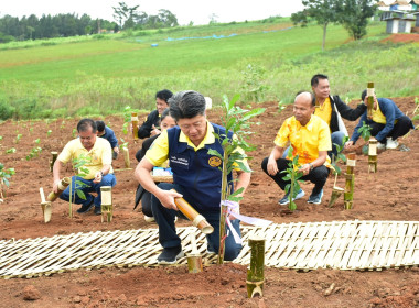 ร่วมงาน ... พารามิเตอร์รูปภาพ 7