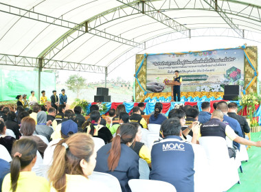 ร่วมงาน ... พารามิเตอร์รูปภาพ 9