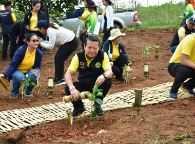 ร่วมงาน ... พารามิเตอร์รูปภาพ 10