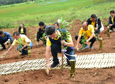 ร่วมงาน ... พารามิเตอร์รูปภาพ 11