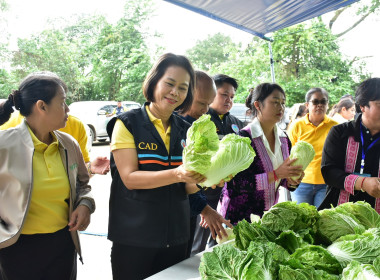 เข้าตรวจเยี่ยมติดตามการดำเนินงานของสหกรณ์ผักปลอดภัยภูทับเบิก จำกัด ... พารามิเตอร์รูปภาพ 8