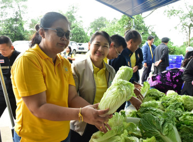 เข้าตรวจเยี่ยมติดตามการดำเนินงานของสหกรณ์ผักปลอดภัยภูทับเบิก จำกัด ... พารามิเตอร์รูปภาพ 11