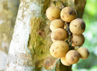 กพก.ลงพื้นที่ติดตามผลการดำเนินงาน ... พารามิเตอร์รูปภาพ 1