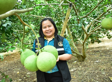 กพก.ลงพื้นที่ติดตามผลการดำเนินงาน ... พารามิเตอร์รูปภาพ 2