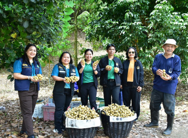 กพก.ลงพื้นที่ติดตามผลการดำเนินงาน ... พารามิเตอร์รูปภาพ 3