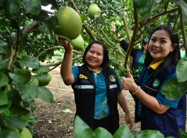 กพก.ลงพื้นที่ติดตามผลการดำเนินงาน ... พารามิเตอร์รูปภาพ 5