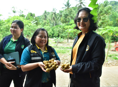 กพก.ลงพื้นที่ติดตามผลการดำเนินงาน ... พารามิเตอร์รูปภาพ 11