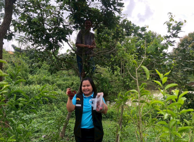 ร่วมเป็นวิทยากรบรรยายในกิจกรรมการอบรมเชิงปฏิบัติการ... พารามิเตอร์รูปภาพ 2