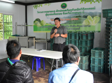 โครงการขยายผล ผักปลอดภัยภูทับเบิก วิถีสหกรณ์ ... พารามิเตอร์รูปภาพ 7