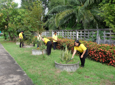 กิจกรรมวันบำรุงรักษาต้นไม้ประจำปีของชาติ พารามิเตอร์รูปภาพ 4