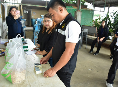 ลงพื้นที่ตรวจสอบปริมาณข้าวเปลือก ... พารามิเตอร์รูปภาพ 5