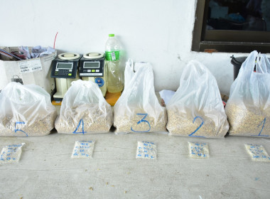 ลงพื้นที่ตรวจสอบปริมาณข้าวเปลือก ... พารามิเตอร์รูปภาพ 10