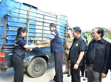 ร่วมโครงการจัดตลาดนัดข้าวเปลือกจังหวัดเพชรบูรณ์ ปีการผลิต ... พารามิเตอร์รูปภาพ 6