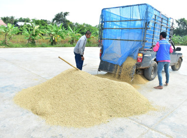 ร่วมโครงการจัดตลาดนัดข้าวเปลือกจังหวัดเพชรบูรณ์ ปีการผลิต ... พารามิเตอร์รูปภาพ 9