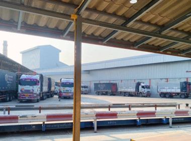 ติดตามการดำเนินงานโครงการระบายข้าวเปลือก ปีการผลิต 2567/68 ... พารามิเตอร์รูปภาพ 2