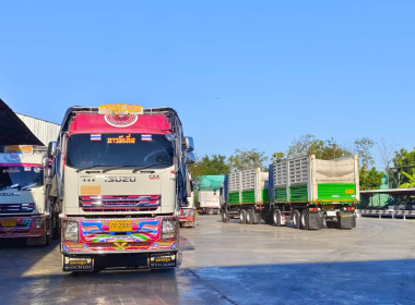 ติดตามการดำเนินงานโครงการระบายข้าวเปลือก ปีการผลิต 2567/68 ... พารามิเตอร์รูปภาพ 5