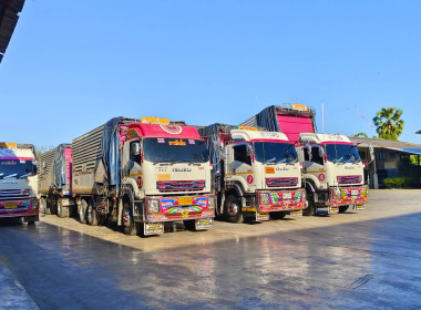 ติดตามการดำเนินงานโครงการระบายข้าวเปลือก ปีการผลิต 2567/68 ... พารามิเตอร์รูปภาพ 8