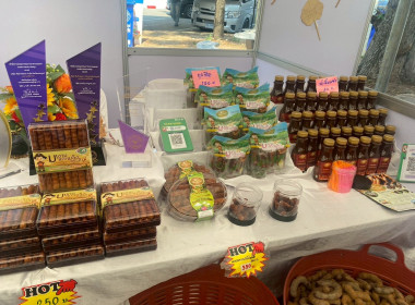 ร่วมพิธีเปิดโครงการมหกรรม “ รวมของดีภาคเหนือ ... พารามิเตอร์รูปภาพ 6