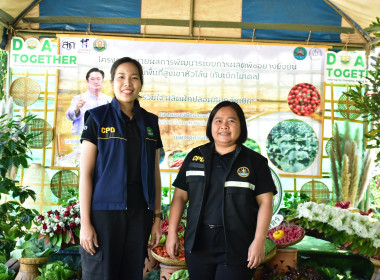 โครงการขยายผลการพัฒนาระบบการผลิตพืชอย่างยั่งยืนบนพื้นที่สูงเขาหัวโล้น ... พารามิเตอร์รูปภาพ 2