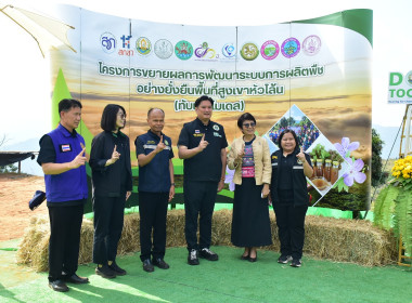 โครงการขยายผลการพัฒนาระบบการผลิตพืชอย่างยั่งยืนบนพื้นที่สูงเขาหัวโล้น ... พารามิเตอร์รูปภาพ 5