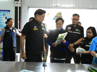 โครงการขยายผลการพัฒนาระบบการผลิตพืชอย่างยั่งยืนบนพื้นที่สูงเขาหัวโล้น ... พารามิเตอร์รูปภาพ 13