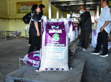 โครงการระบบส่งเสริมการเกษตรแบบแปลงใหญ่ พารามิเตอร์รูปภาพ 6