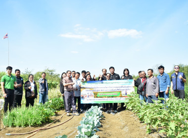 โครงการระบบส่งเสริมการเกษตรแบบแปลงใหญ่ พารามิเตอร์รูปภาพ 11