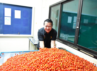 ประชุมโครงการยกระดับคุณภาพมาตรฐานสินค้าเกษตร (GAP) พารามิเตอร์รูปภาพ 9