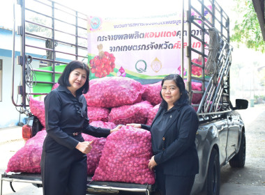กระจายหอมแดงคุณภาพจากเกษตรกรจังหวัดศรีสะเกษออกนอกแหล่งผลิต พารามิเตอร์รูปภาพ 1