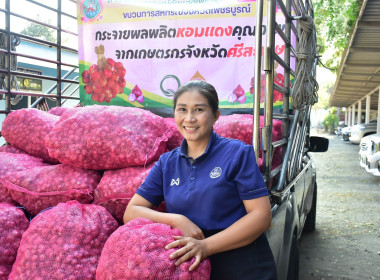 กระจายหอมแดงคุณภาพจากเกษตรกรจังหวัดศรีสะเกษออกนอกแหล่งผลิต พารามิเตอร์รูปภาพ 4
