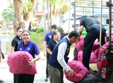 กระจายหอมแดงคุณภาพจากเกษตรกรจังหวัดศรีสะเกษออกนอกแหล่งผลิต พารามิเตอร์รูปภาพ 5