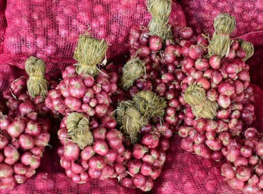 กระจายหอมแดงคุณภาพจากเกษตรกรจังหวัดศรีสะเกษออกนอกแหล่งผลิต พารามิเตอร์รูปภาพ 6