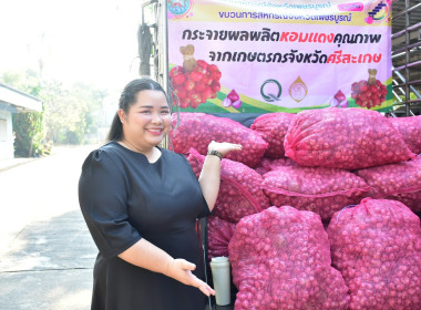 กระจายหอมแดงคุณภาพจากเกษตรกรจังหวัดศรีสะเกษออกนอกแหล่งผลิต พารามิเตอร์รูปภาพ 7