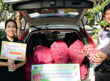 กระจายหอมแดงคุณภาพจากเกษตรกรจังหวัดศรีสะเกษออกนอกแหล่งผลิต พารามิเตอร์รูปภาพ 8