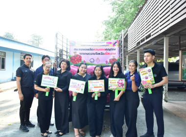 กระจายหอมแดงคุณภาพจากเกษตรกรจังหวัดศรีสะเกษออกนอกแหล่งผลิต พารามิเตอร์รูปภาพ 9