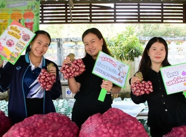 กระจายหอมแดงคุณภาพจากเกษตรกรจังหวัดศรีสะเกษออกนอกแหล่งผลิต พารามิเตอร์รูปภาพ 10