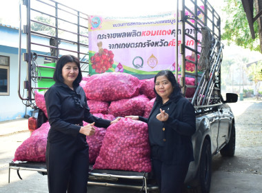 กระจายหอมแดงคุณภาพจากเกษตรกรจังหวัดศรีสะเกษออกนอกแหล่งผลิต พารามิเตอร์รูปภาพ 11