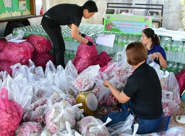 กระจายหอมแดงคุณภาพจากเกษตรกรจังหวัดศรีสะเกษออกนอกแหล่งผลิต พารามิเตอร์รูปภาพ 12