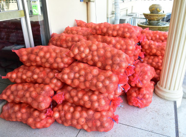 รับผลผลิตหอมหัวใหญ่คุณภาพจากจังหวัดเชียงใหม่ พารามิเตอร์รูปภาพ 1