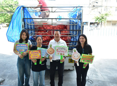 รับผลผลิตหอมหัวใหญ่คุณภาพจากจังหวัดเชียงใหม่ พารามิเตอร์รูปภาพ 2