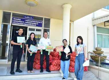 รับผลผลิตหอมหัวใหญ่คุณภาพจากจังหวัดเชียงใหม่ พารามิเตอร์รูปภาพ 3