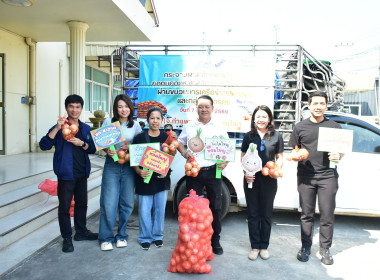 รับผลผลิตหอมหัวใหญ่คุณภาพจากจังหวัดเชียงใหม่ พารามิเตอร์รูปภาพ 4