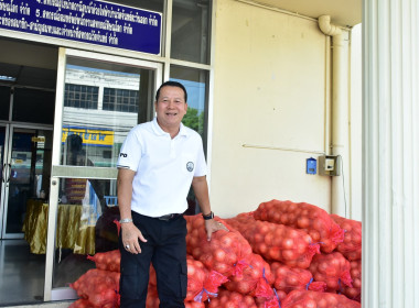 รับผลผลิตหอมหัวใหญ่คุณภาพจากจังหวัดเชียงใหม่ พารามิเตอร์รูปภาพ 7