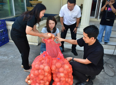 รับผลผลิตหอมหัวใหญ่คุณภาพจากจังหวัดเชียงใหม่ พารามิเตอร์รูปภาพ 8