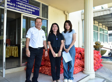 รับผลผลิตหอมหัวใหญ่คุณภาพจากจังหวัดเชียงใหม่ พารามิเตอร์รูปภาพ 9