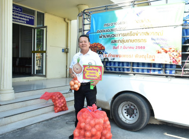 รับผลผลิตหอมหัวใหญ่คุณภาพจากจังหวัดเชียงใหม่ พารามิเตอร์รูปภาพ 10