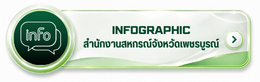 อินโฟกราฟิค